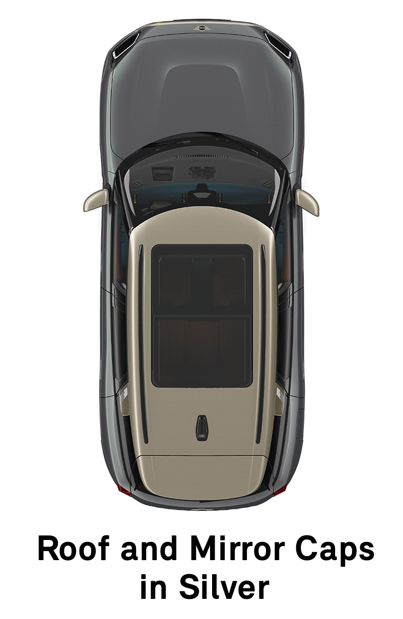 MINI Roof: Roof and Mirror Caps in Silver
