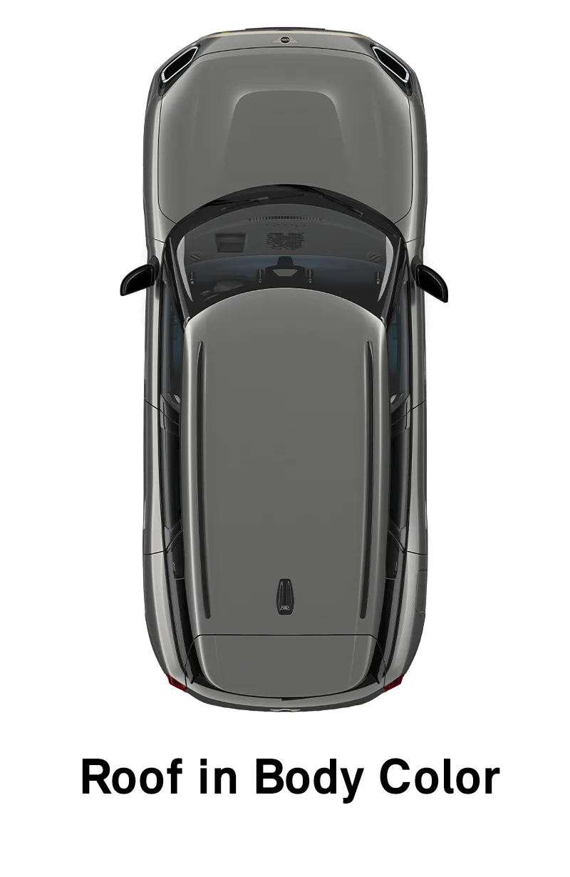 MINI Roof: Roof and Mirror Caps in Body Colour