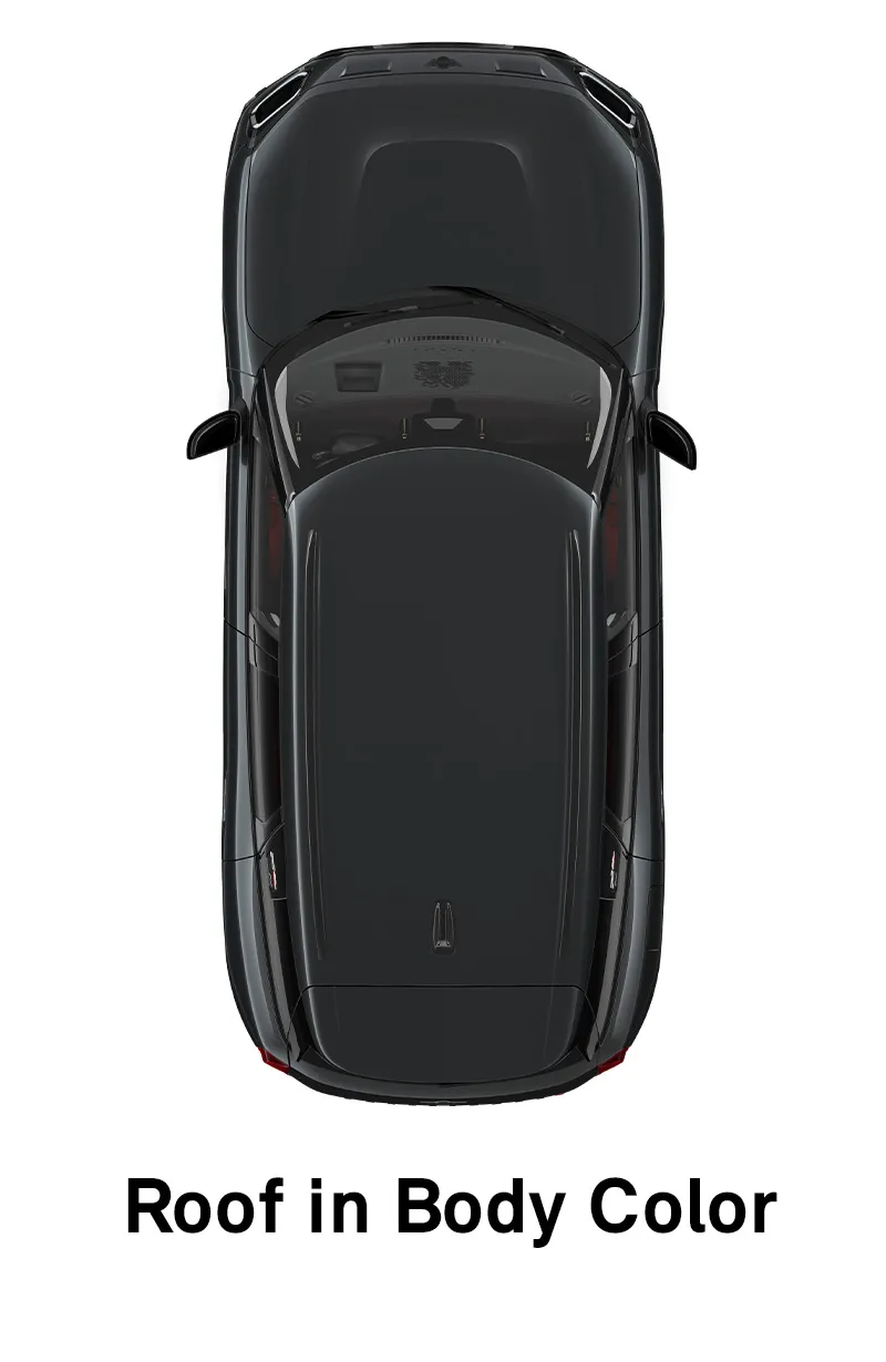 MINI Roof: Roof and Mirror Caps in Body Colour