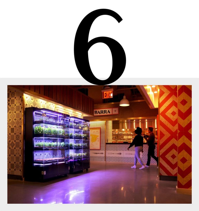 6 принцип
