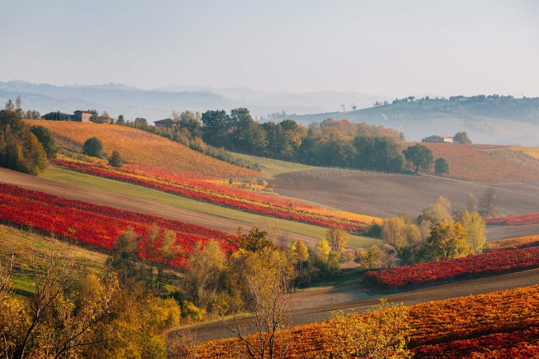 The hills of Maranello, Italy.